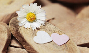 Attitude of Gratitude