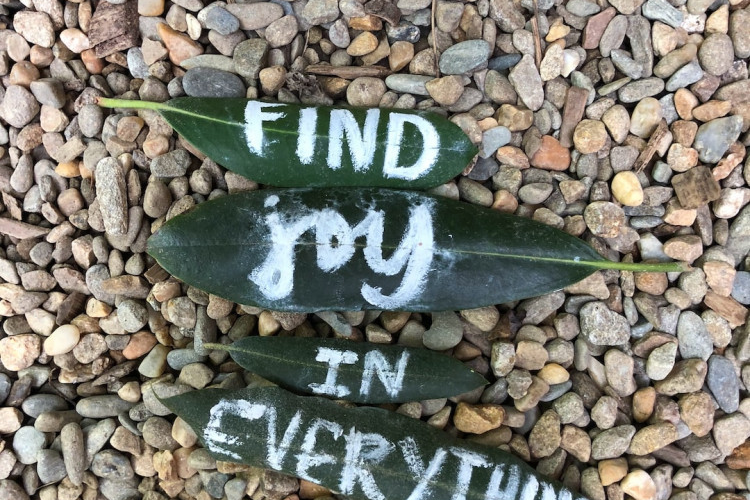 30 Quotes of Joy